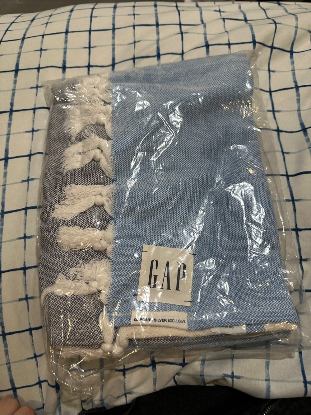 GAP Blue and Gray Fringed Woven Throw
